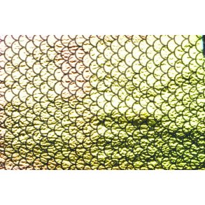 Dichroic, Scales, Sort  nr. 977
