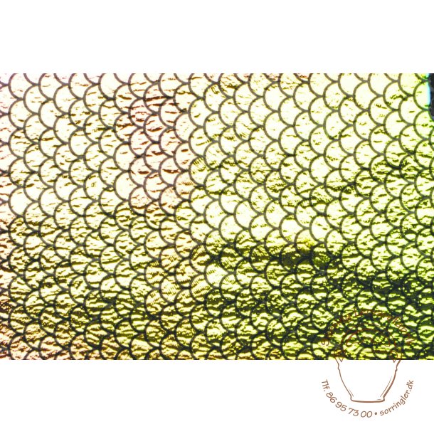 Dichroic, Scales, Sort  nr. 977