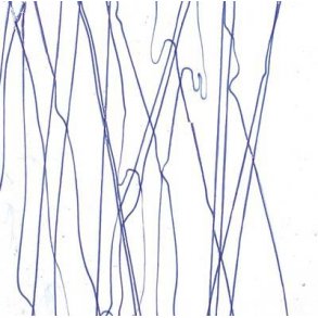 4151-30 Clear, Blue stringers