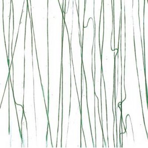 4152-30 Clear, Green stringers