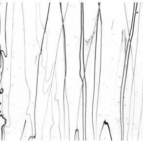 4171-30 Clear, Black/White string.