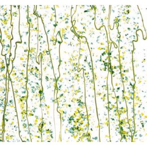 4212-30 Clear, Lime str./Grn./Lime