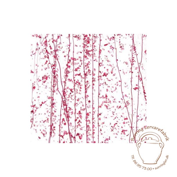 4215-30 Clear, Pink str./Pink frit