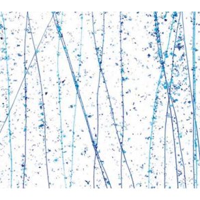 4216-30 Clear, Blue & Turq. frit