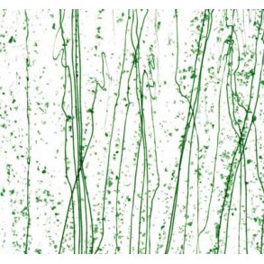 4217-30 Clear, Green str./Grn./Jade