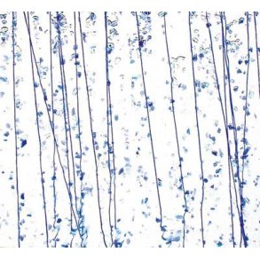 4219-30 Clear, Blue str./Blue frit