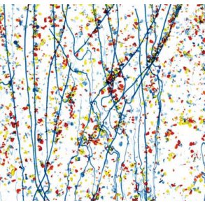 4223-30 Clear, Blue str./Harlekin