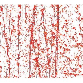 4224-30 Clear, Red Frit, Red strea.