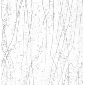 4237-30 Clear Vanilla & White fri.