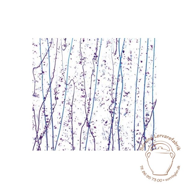 4242-30 Clear Neo-lav. &amp; Purpl.