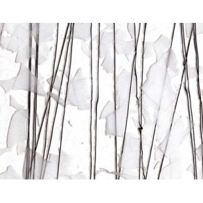  Black str./White confetti