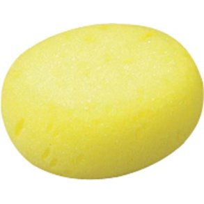 Svamp til svampestok