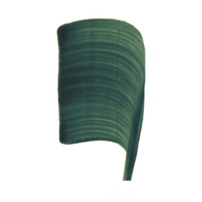 UG farve 616 - Marinebl 100 ml.